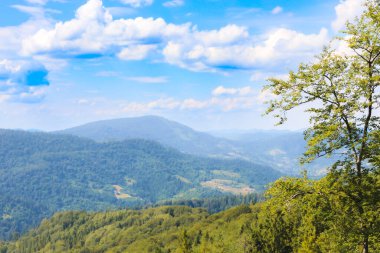Parlak mavi bir gökyüzünün altındaki ormanlık dağlar beyaz bulutlarla pitoresk bir manzara yaratır. Ön plandaki bir ağaç doğanın ihtişamını vurgulayarak kompozisyona hacim ekler..