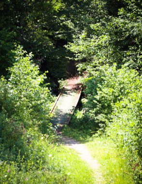 Güneşli bir yaz ormanı manzarası. Dar bir patika, sık çalılıkların arasına gizlenmiş küçük bir ahşap köprüye çıkıyor. Bu görünüm bir gizem duygusu taşır ve bilinmeyen bir yolculuğa davet eder.