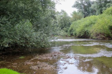 Geniş bankalar arasında berrak ve yavaş akan bir orman nehri var. Bu manzaranın sakin atmosferi rahatlama, tazelik ve el değmemiş yaban hayatı için mükemmeldir..