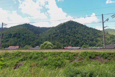 Slavsko, Ukrayna - 13 Temmuz 2025: Resimli orman dağlarının zeminine demiryolu raylarının dayandığı kırsal bir arazi. 