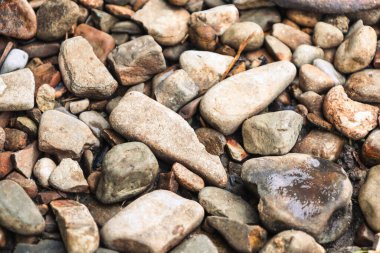 Çok sayıda renkli taş zeminde doğal bir doku oluşturur. Gri ve kahverengiden açık renge kadar çeşitli şekiller, boyutlar ve gölgeler her taşı eşsiz kılar ve bazıları ıslak yansımalar gösterir..