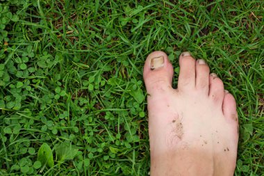Çamurla kirlenmiş bir adamın ayağı yoncayla kaplı yeşil bir çimenlikte yatıyor. Görüntü yaz rahatlama, basitlik, rahatlık ve doğayla bağlantı kavramları için idealdir..