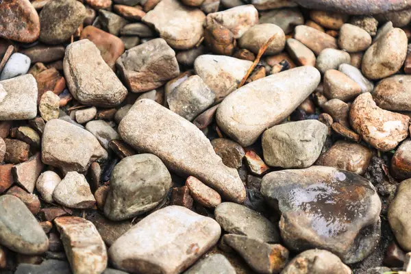 Çok sayıda renkli taş zeminde doğal bir doku oluşturur. Gri ve kahverengiden açık renge kadar çeşitli şekiller, boyutlar ve gölgeler her taşı eşsiz kılar ve bazıları ıslak yansımalar gösterir..
