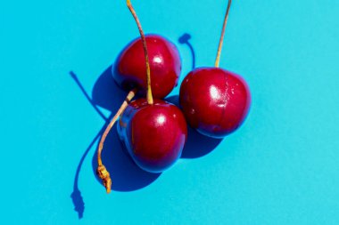 Uzun saplı üç parlak, koyu kırmızı kiraz parlak mavi arka planda yatar. Böğürtlenlerin zengin renk kontrastı ve keskin gölgeleri görüntüye parlaklık ve dinamizm katarak onu çekici kılıyor..