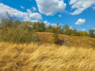 Huzurlu bir yaz manzarası ön planda uzun kuru otlar seyrek çalılar ve ağaçlarla kaplı bir tepeye götürür. Her şeyden önce bulutsuz mavi bir gökyüzü ve tüylü beyaz bulutlar..