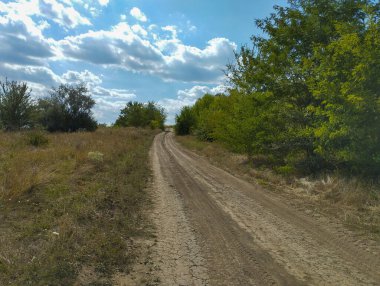 Tekerlek izlerinin olduğu toprak bir yol ağaçlarla kaplı uzun otların arasından geçiyor. Kabarık beyaz bulutlu mavi bir gökyüzü yol üzerinde uzanıyor, seyahat dolu bir atmosfer yaratıyor..