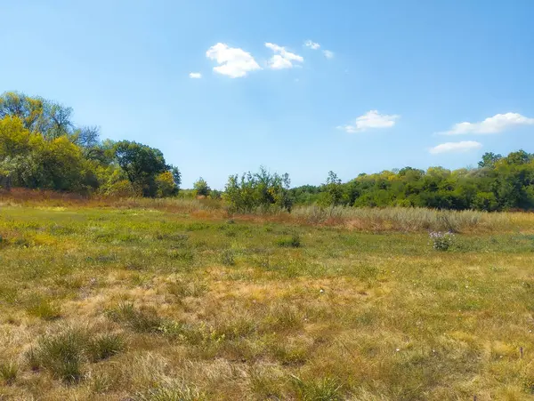 Açık mavi gökyüzünün altında kavrulmuş çimenler ve yeşil bitki örtüleri olan ferah bir yaz çayırı. Ön planda, kuru gövdeler ve çeşitli otlar görülebilir ve ufukta bir grup ağaç doğal bir zemin oluşturur..