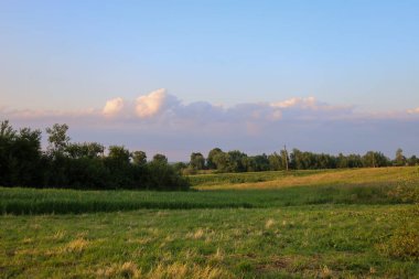 Yeşil çayırları ve alçak tepeleri olan pastoral bir yaz manzarası var. Mavi gökyüzünün altında pembe renkli bulutları olan ağaçlar var..