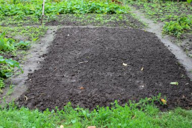 Bitkiler ve yabani otlarla çevrili gevşek, karanlık bir toprak. Arka planda, ekilmiş sebzeli diğer bahçeler görülebilir..