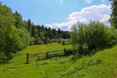 Yeşil çayırlar ve ağaçların bir tepenin eteklerine kurulmuş ahşap evleri çevreledikleri cennet gibi bir kırsal alan. Üzerinde beyaz bulutlar yüzen mavi bir gökyüzü, barış ve uyum ortamı yaratıyor..