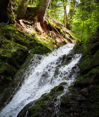 İnce bir şelale, sık bir ormanın içine yerleşmiş yosun kaplı kayalık bir yüzeye dökülür. Bereketli yeşil bitki örtüsü ve etrafını saran uzun ağaçlar sükunet ve tazelik atmosferi yaratıyor..
