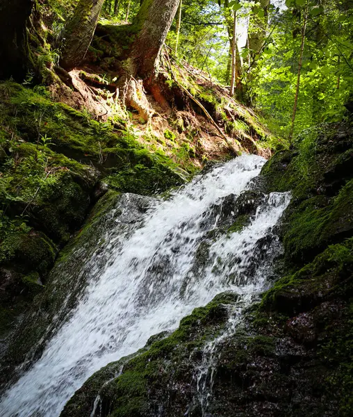 İnce bir şelale, sık bir ormanın içine yerleşmiş yosun kaplı kayalık bir yüzeye dökülür. Bereketli yeşil bitki örtüsü ve etrafını saran uzun ağaçlar sükunet ve tazelik atmosferi yaratıyor..