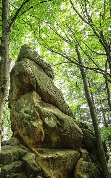 Dev bir hayvana benzeyen güçlü bir kaya, bereketli ağaç taçlarının arasında kuleler. Yayılmış ışıkla aydınlatılan eşsiz şekli ve dokusu ihtişam ve sükunet atmosferi yaratır..