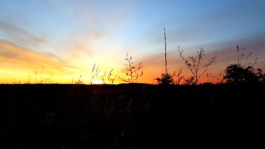 Bir tarlanın üzerinde büyüleyici bir günbatımı. Turuncu ve pembe ışınlar bulutları delip geçerek manzarayı aydınlatıyor. Güneş diski ufkun altına batarken huzurlu ve destansı bir an..
