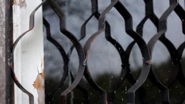 Eski, paslı metal parmaklıklar pencereyi sıkıca kapatıyor, ihmal ve geçmiş atmosferi yaratıyor. Yüzey çatlaklarla ve zaman izleriyle kaplıdır. Dokusunu ve tarihini vurgular..