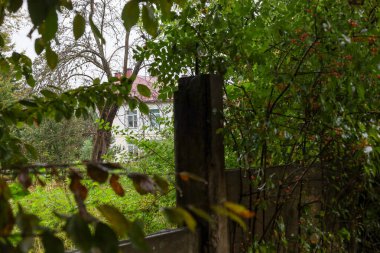 Kırmızı çatılı beyaz bir kır evi ağaçların ve çalıların yoğun, nemli yeşilliklerinden zar zor görülebiliyor. Sahne karanlık bir çit direği tarafından çerçevelenmiş ve ön planda bulanık yapraklar, kasvetli bir günde rahat bir yalnızlık atmosferi yaratıyor..