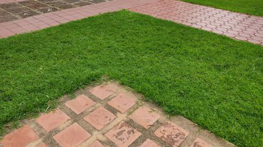 green grass and lawn with white stone floor