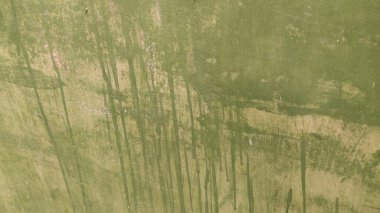 metin için alanı olan grunge doku arkaplanı