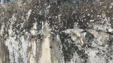 Eski duvar dokusu arkaplanı 