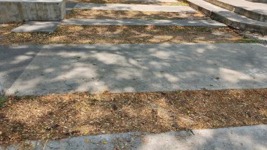 Parktaki eski taş merdivenler. 