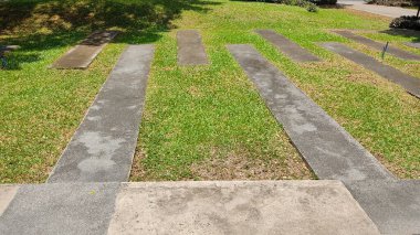 Parkın güzel manzarası 