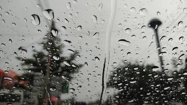 ฝนตกบนหน — ภาพถ่ายสต็อก