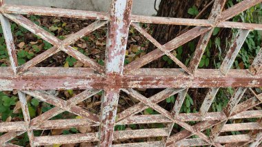 İsrail 'de Akdeniz kıyısındaki parkta çit var. 