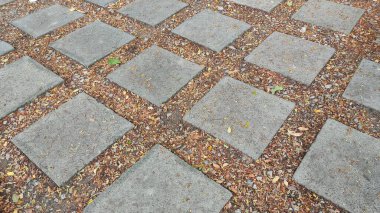 Yosun ile taş yürüyüş yolu 