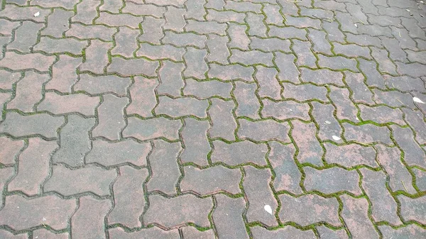 Sfondo Pavimentazione Pietra Verde — Foto Stock