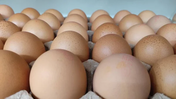 stock image eggs in the basket