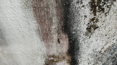 Beyaz arkaplanı olan eski duvar