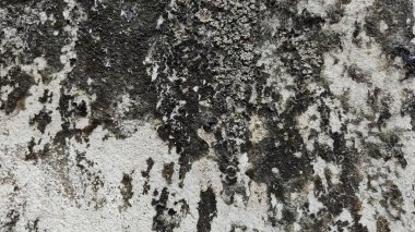 Eski taş duvar dokusu