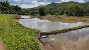 Nehirli güzel bir manzara
