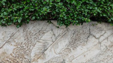 Taş duvar dokusu arkaplanı