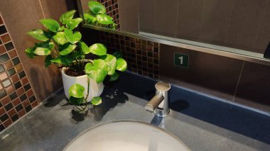 yeşil bitkili modern banyo