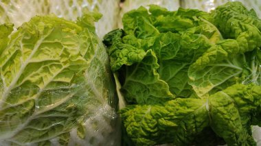 Beyaz arka planda yeşil lahana