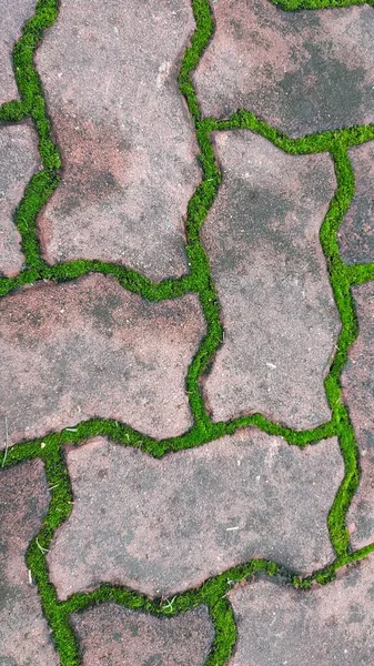 Taş kaldırım dokusu. arkaplan ve doku
