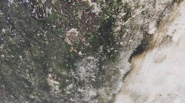 Eski duvar dokusu arkaplanı