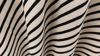 soyut zebra deri desen