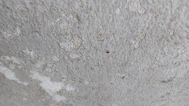 beton duvar dokusu arkaplanı