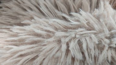 Yumuşak kürk dokusu arkaplanı