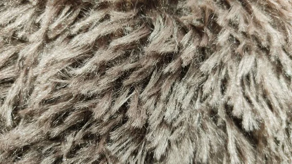fur texture of the cow fur background.