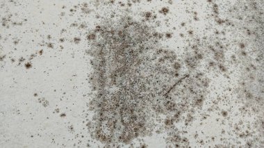 eski paslı metal doku arkaplanı