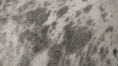 gri taş duvar dokusu