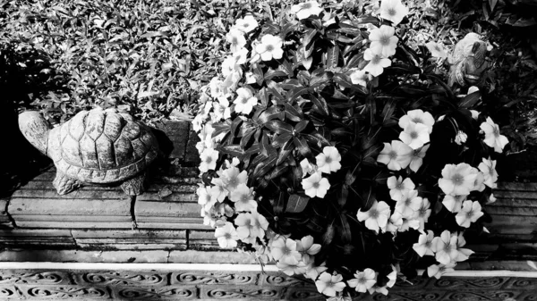 Παλιό Σκουριασμένο Μεταλλικό Σωλήνα Ένα Λουλούδι Royalty Free Εικόνες Αρχείου