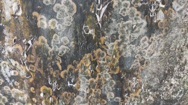 eski beton duvar dokusu arkaplanı