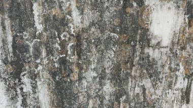 Eski beton duvar arka planı