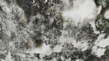 Eski duvar arkaplanı. taş dokusu.