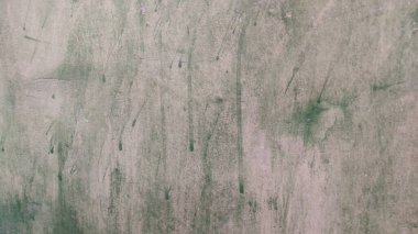 Bir duvarın önünde elinde kaykayla duran bir adam.