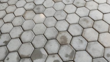 Üzerinde kedi olan fayanslı bir zemin.